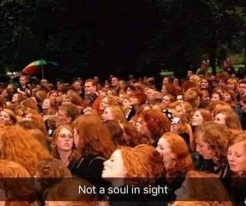 253 R L_nl El _sl T o A Not