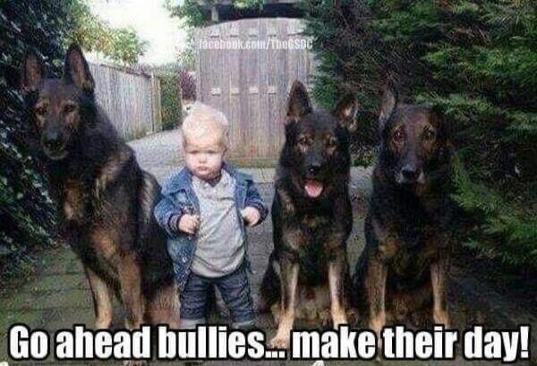 Go ahead bullies... make their day!