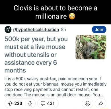 Clovis is about to become a IIIICHETCE rhynotheticalsituation t 500k per year but you must eat a live mouse without utensils or assistance every 6 months Itis a 500k salary post tax paid once each year If you do not eat your biannual mouse you immediately stop receiving payments and cannot restart one and done The mouse is an adult deer mouse You 223 Qan