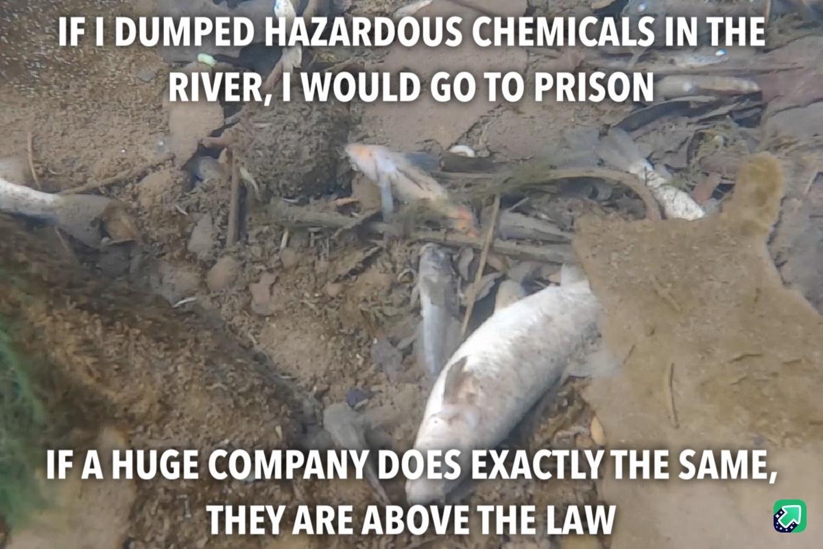 IF 1 DUMPED ITAZARDEIIS CHEMICALS IN THE RIVER IWOUID GO TO PRISON THEY ARE ABOVE THE LAW