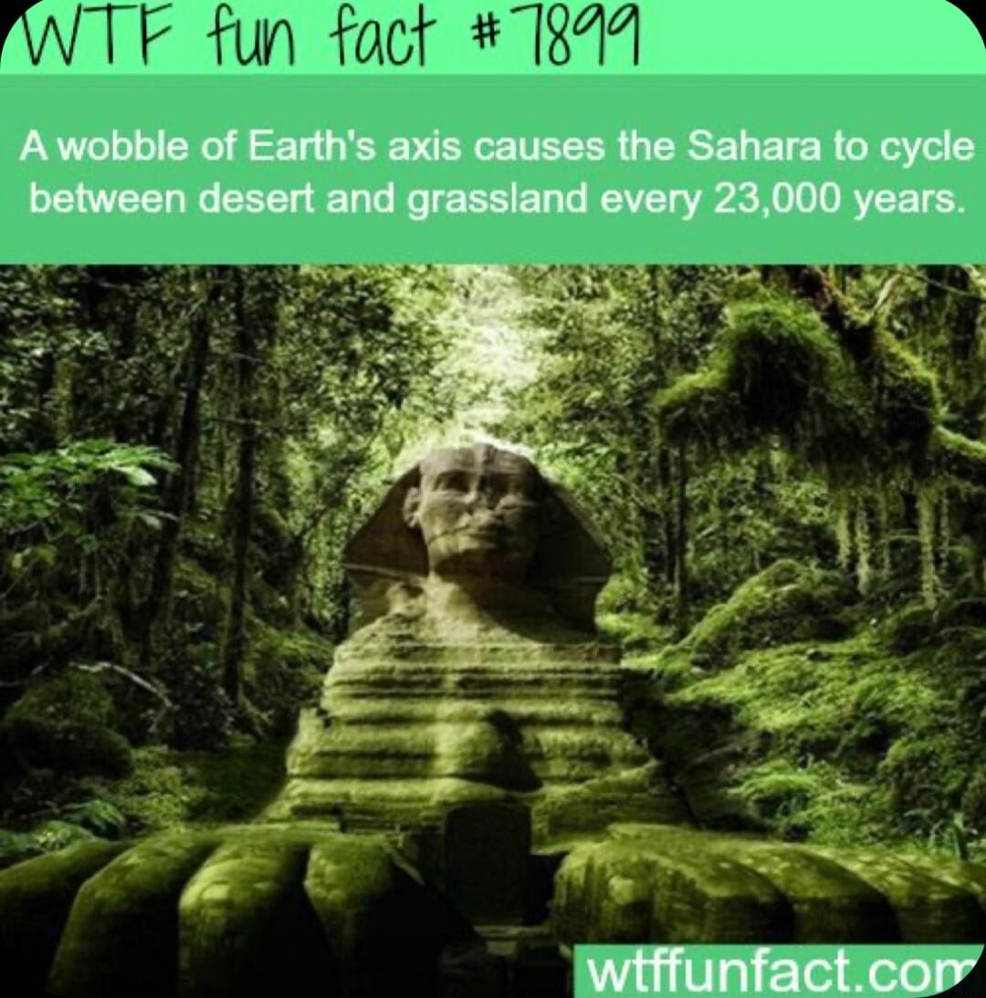 fun fact 1891
