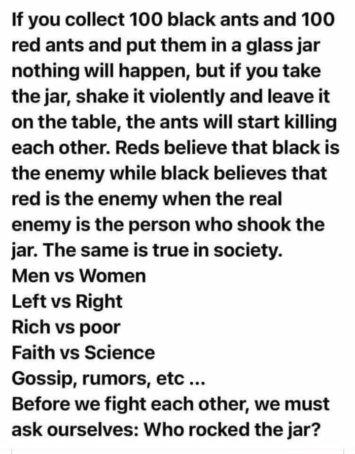 If you collect 100 black ants and 100 red ants and put them in a glass jar nothing will happen but if you take the jar shake it violently and leave it on the table the ants will start killing each other Reds believe that black is the enemy while black believes that red is the enemy when the real enemy is the person who shook the jar The same is true in society Men vs Women Left vs Right Rich vs po