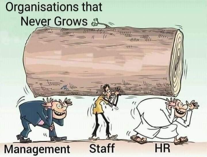 Organisations that Never Grows A y Management