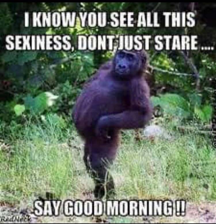 I KNOW YOU SEE ALL THIS SEXINESS, DONT JUST STARE .... SAY GOOD MORNING!!