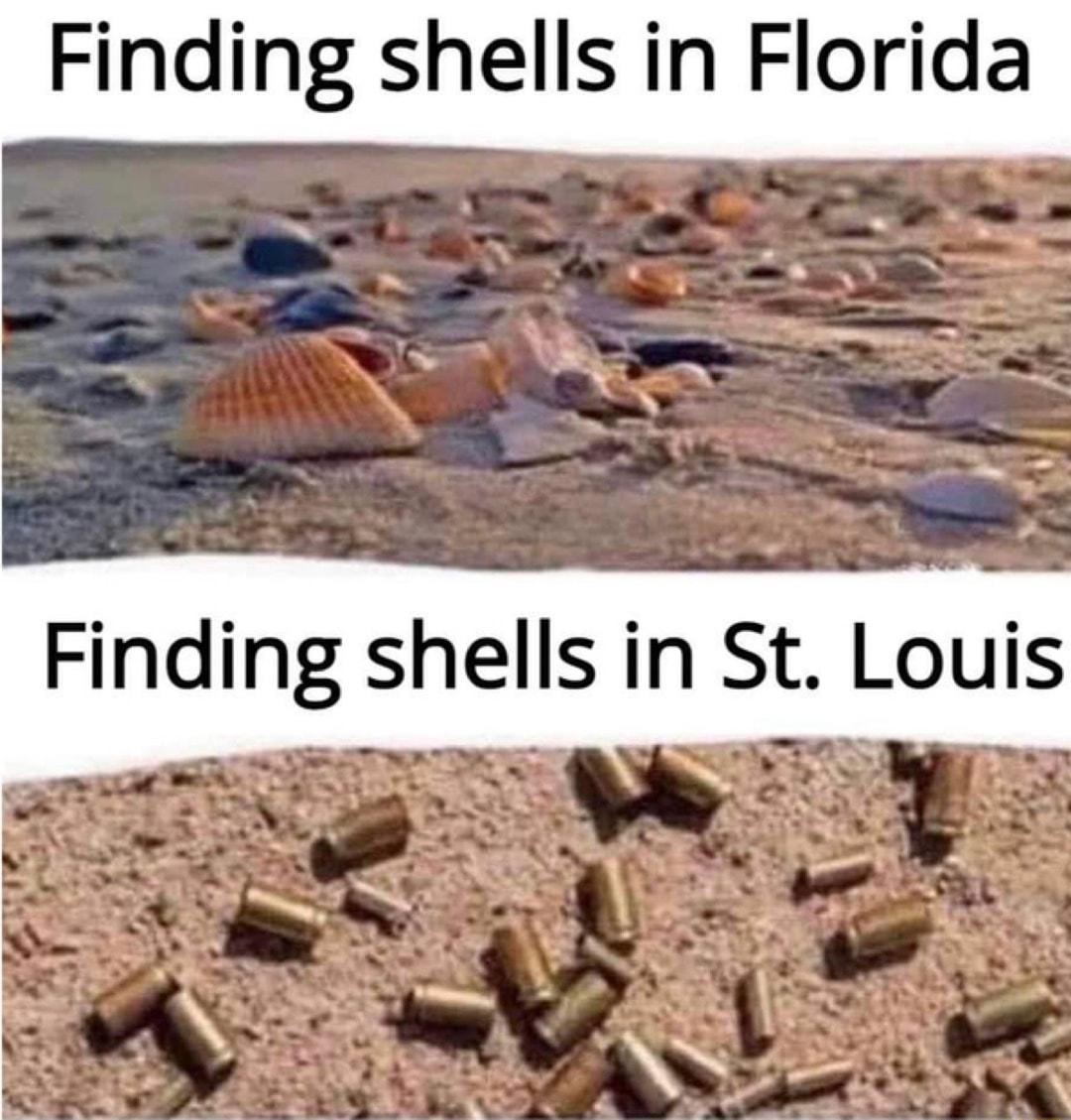 Finding shells in Florida Finding shells in St Louis N