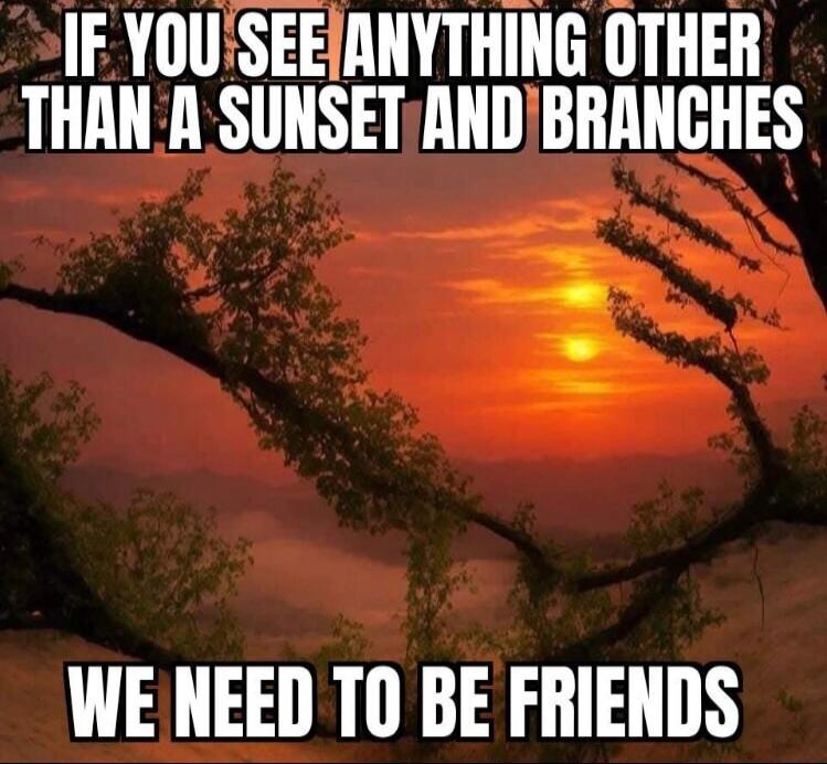 IF YOU SEE ANYTHING OTHER THAN A SUNSET AND BRANCHES WE NEED TO BE FRIENDS