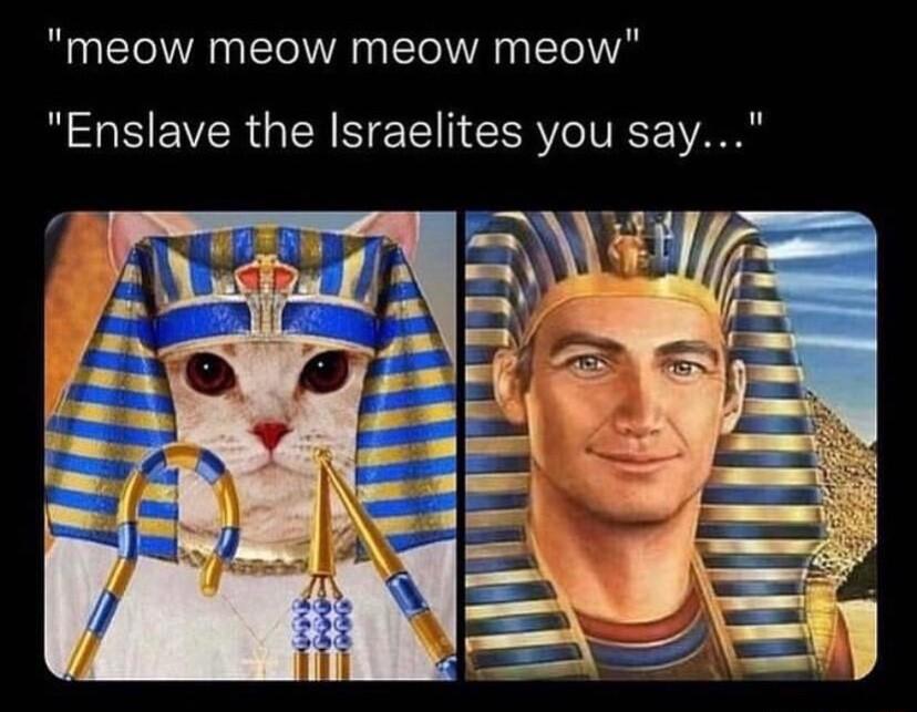 meow meow meow meow NGRS GENNEE N CERO IV A