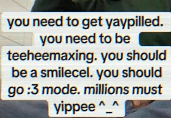 you need to get yaypilled you need to be Il teeheemaxing you should be a smilecel you should go 3 mode millions must