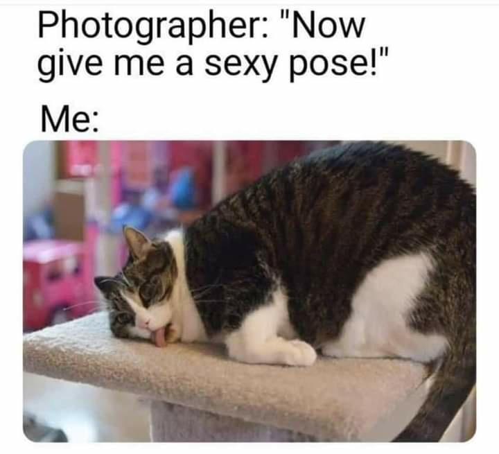 Photographer Now give me a sexy pose Me