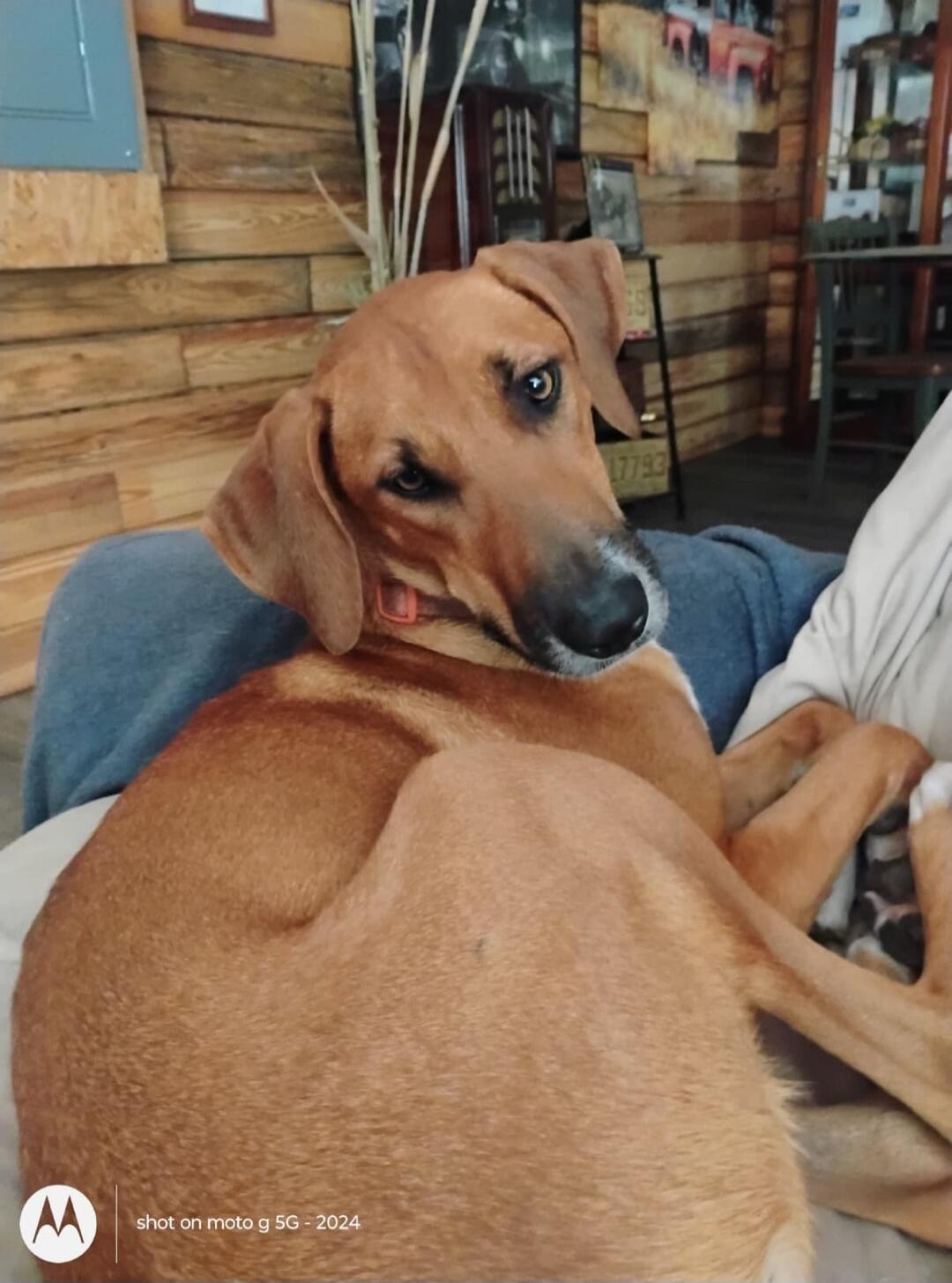 shot on moto g 5G - 2024