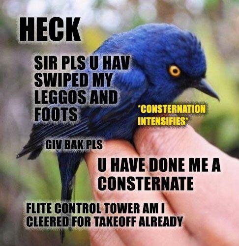 SWIPED MY s U HAVE IIIINE MEA CONSTERNATE FLITE CONTROL TOWER AM 1 CLEERED FOR TAKEOFF ALREADY