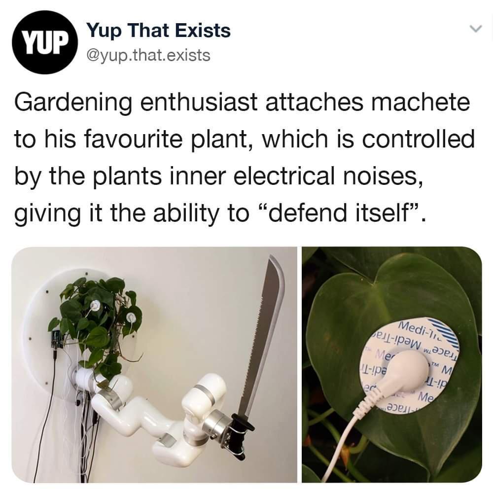 Yup That Exists yupthatexists Gardening enthusiast attaches machete to his favourite plant which is controlled by the plants inner electrical noises giving it the ability to defend itself