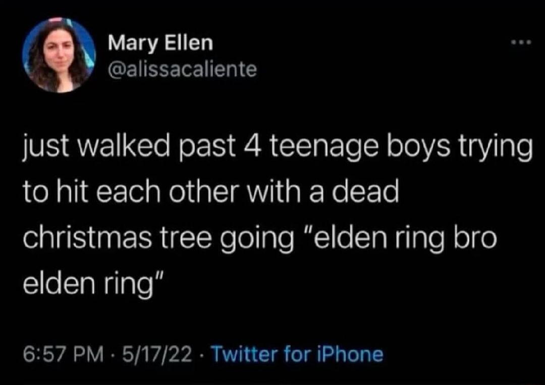 Just walked past 4 teenage boys trying to hit each other with a dead christmas tree going 