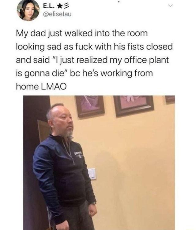 EL 2 eliselau My dad just walked into the room looking sad as fuck with his fists closed and said l just realized my office plant is gonna die bc hes working from home LMAO Be