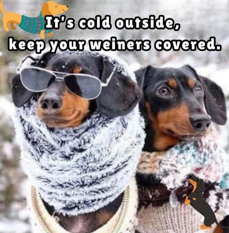It's cold outside, keep your weiners covered.