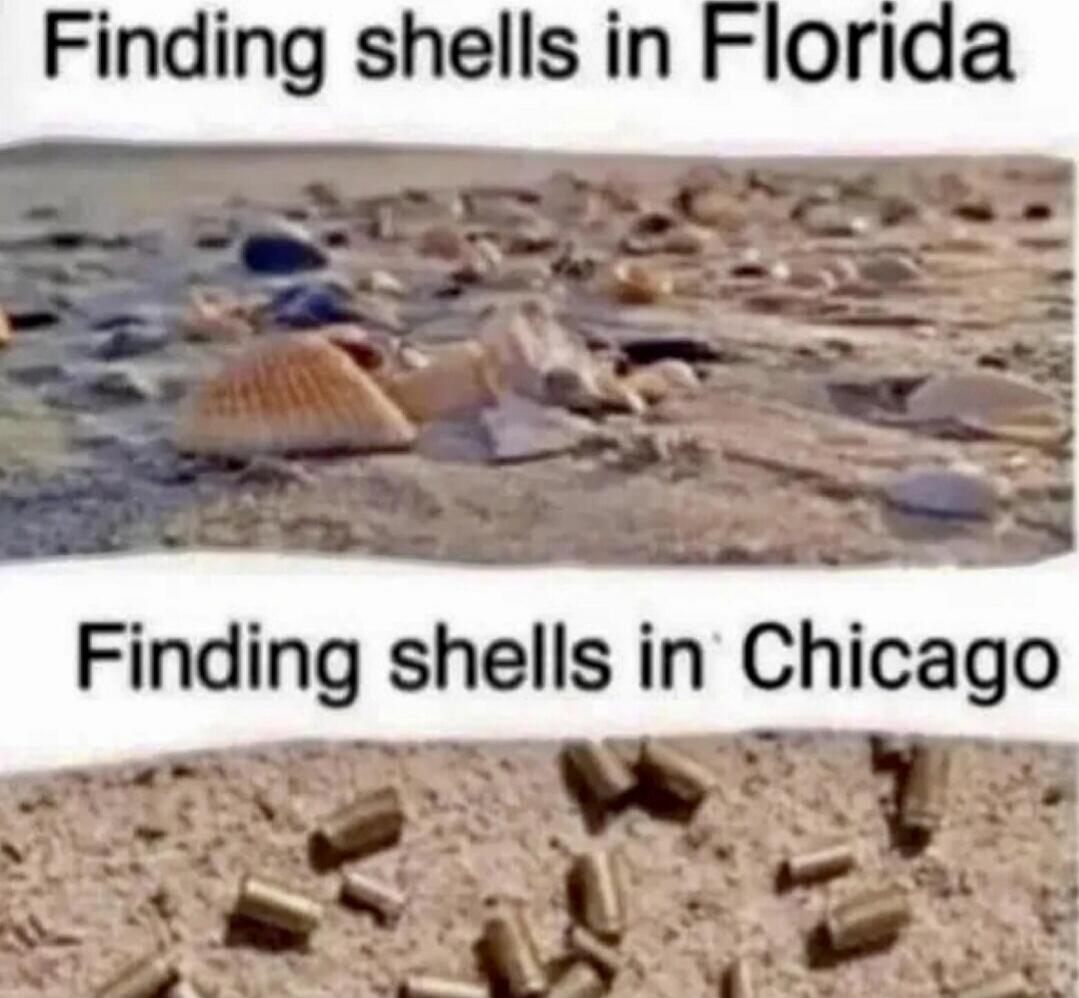 The image shows two panels. The top panel says 'Finding shells in Florida' and depicts various seashells on a sandy beach. The bottom panel says 'Finding shells in Chicago' and shows numerous spent bullet casings scattered on the ground.