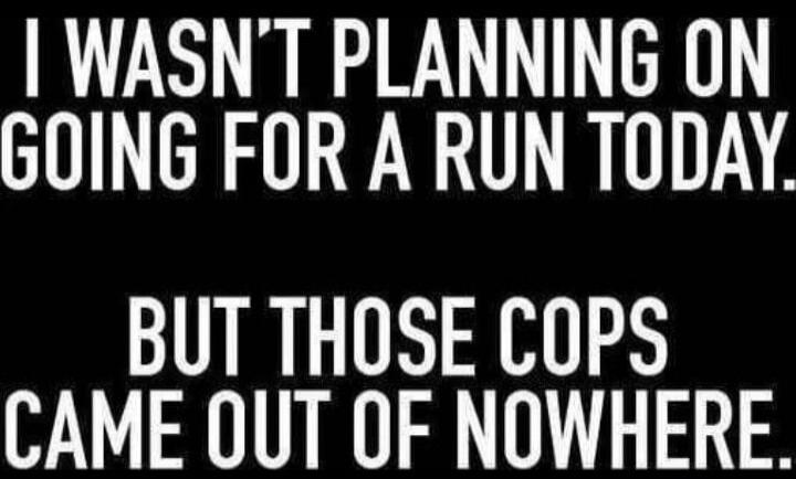 I wasn't planning on going for a run today. But those cops came out of nowhere.