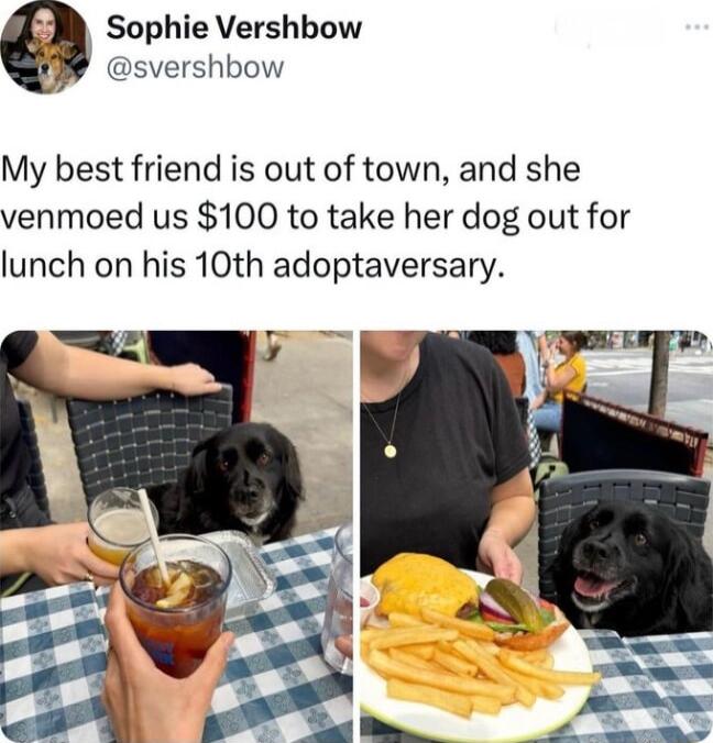 Sophie Vershbow svershbow My best friend is out of town and she venmoed us 100 to take her dog out for lunch on his 10th adoptaversary