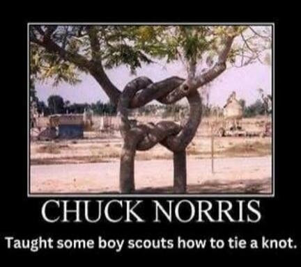 CHUCK NORRIS Taught some boy scouts how to tie a knot.