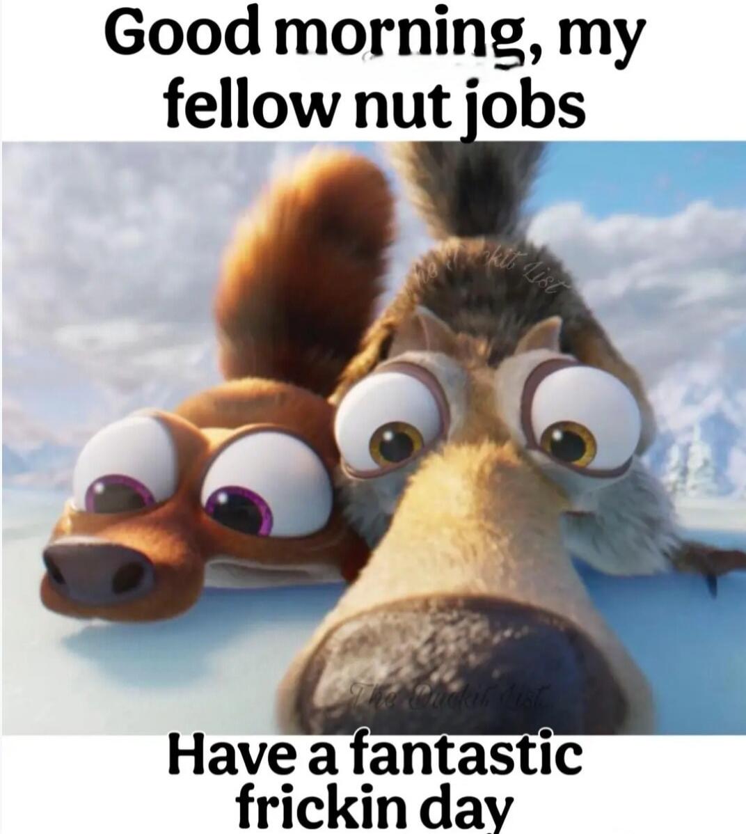 Good morning, my fellow nut jobs. Have a fantastic frickin day.