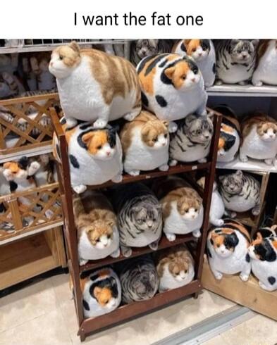 want the fat one
