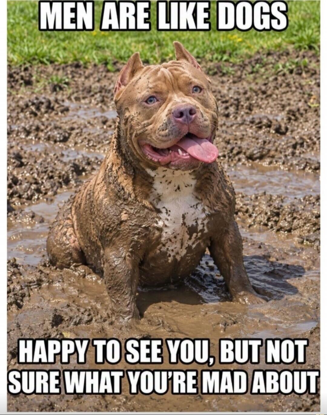 MEN ARE LIKE DOGS HAPPY TO SEE YOU, BUT NOT SURE WHAT YOU'RE MAD ABOUT
