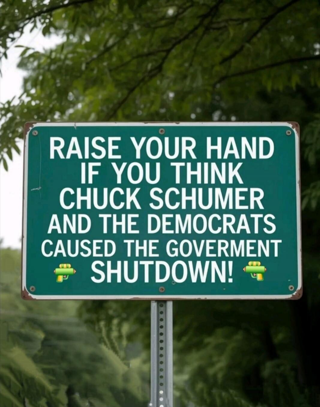 RAISE YOUR HAND IF YOU THINK CHUCK SCHUMER AND THE DEMOCRATS CAUSED THE GOVERNMENT SHUTDOWN!