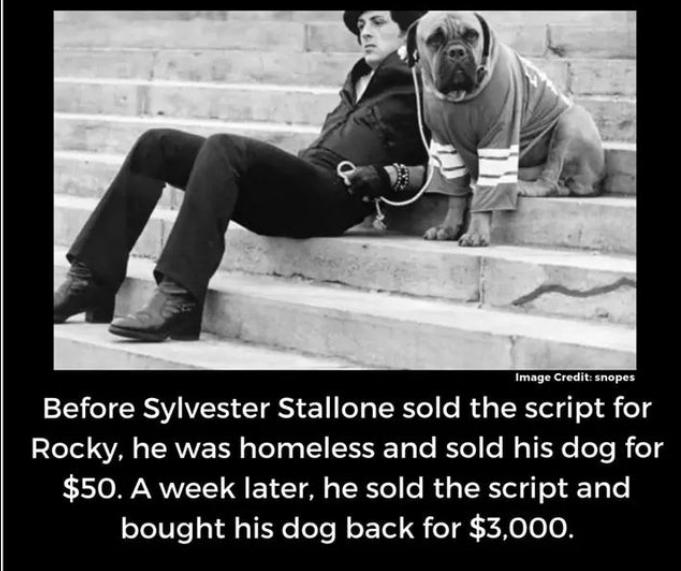 Image Credit snopes 22N e TRV IS T T TRYe R s TR Tel g i 1 4 TeTel WA JT RVVE TN o ToTa o TN SEIRETo To RTel i s TR e oTe B oT4 50 A week later he sold the script and bought his dog back for 3000