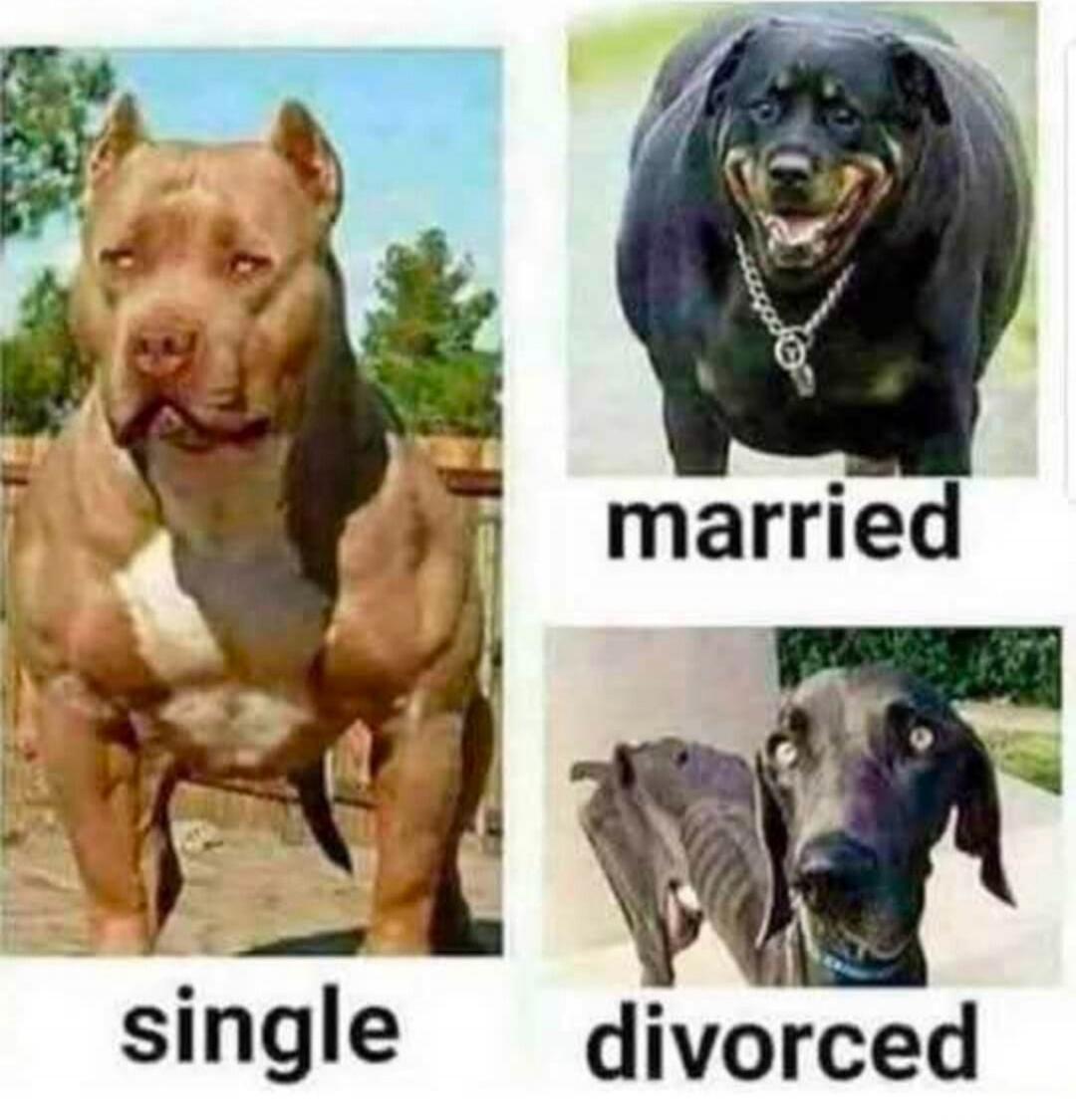 single married divorced