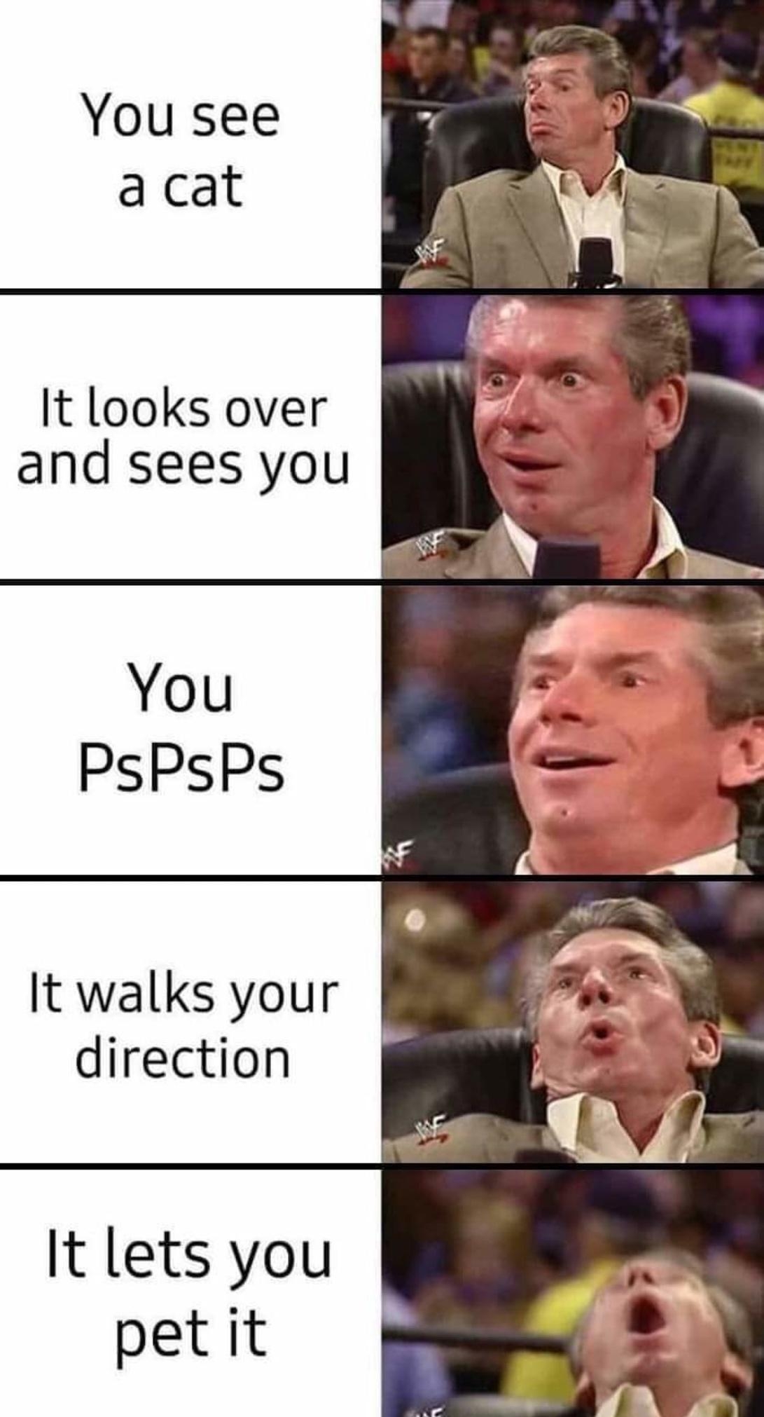 It looks over and sees you It walks your direction It lets you petit