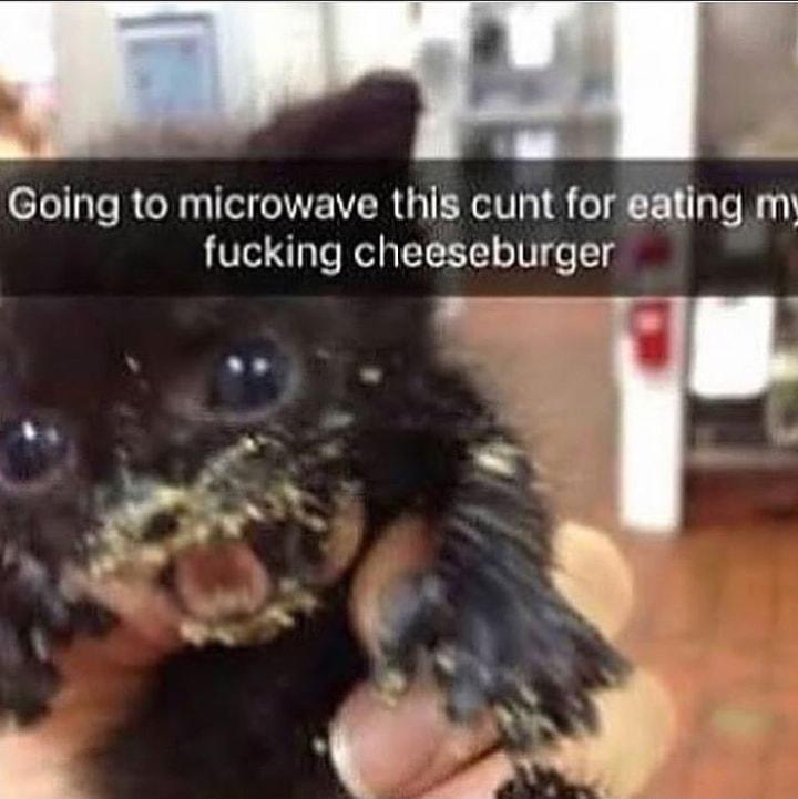 4 Going to microwave this cunt for ating m fucking cheeseburger