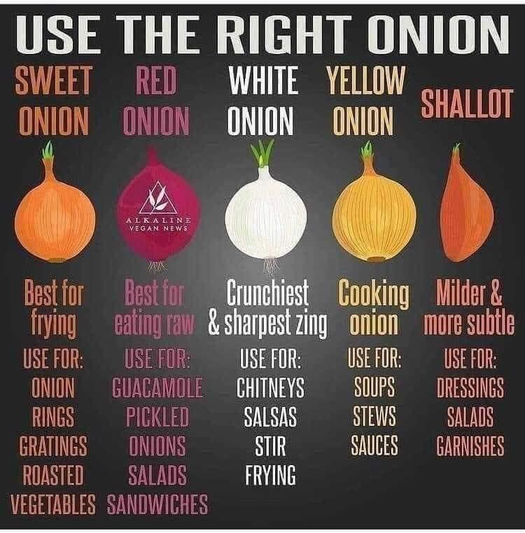USE THE RIGHT ONION SWEET RED WHNE YELOW o ONION ONION ONION ONION hstfor Bostil fne it Cooking Milder frying eatingvaw sharpestzing onion more subtle USEFOR USEFOR USEFOR USEFOR USEFOR ONON GUAGAMOLE CHITNEYS SOUPS DRESSINGS RNGS PICKLED SALSAS STEWS SALADS GRATINGS ONIONS SAUCES GARNISHES ROASTED SALADS FRYING VEGETABLES SANDWICHES
