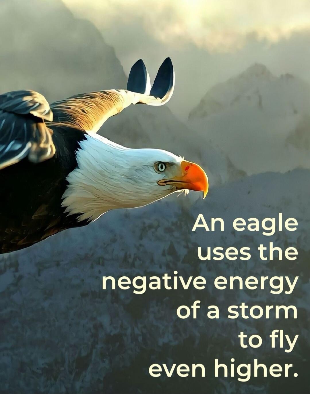 An eagle uses the negative energy of a storm to fly even higher.