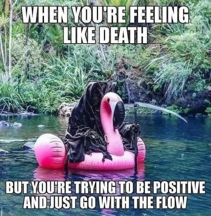WHEN YOU'RE FEELING LIKE DEATH BUT YOU'RE TRYING TO BE POSITIVE AND JUST GO WITH THE FLOW