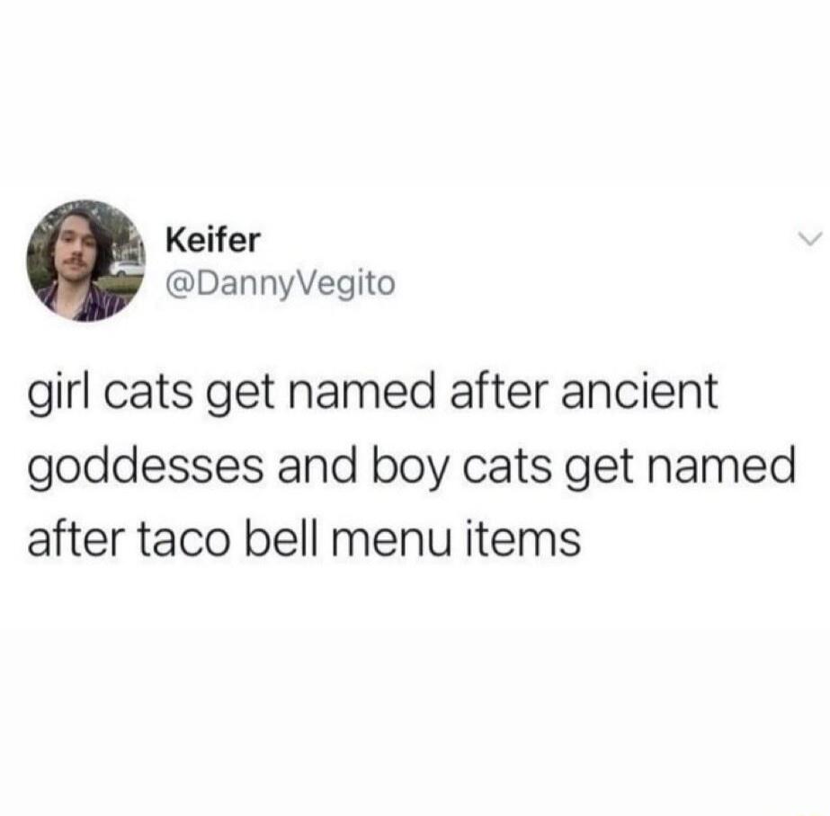 Keifer DannyVegito girl cats get named after ancient goddesses and boy cats get named after taco bell menu items