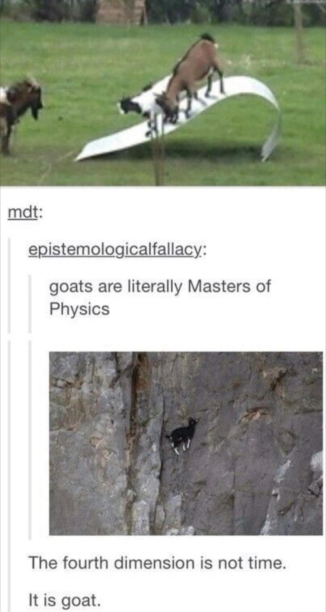 epistemologicalfallacy goats are literally Masters of Physics The fourth dimension is not time It is goat