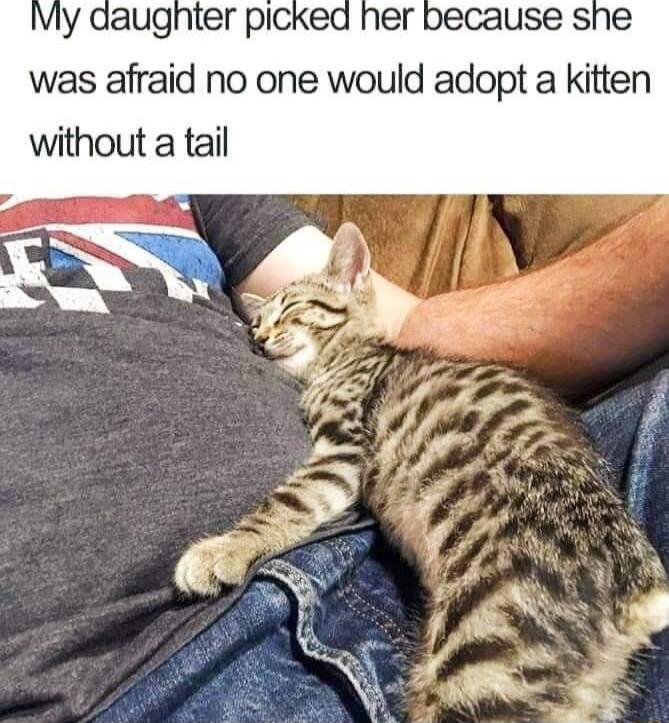 was afraid no one would adopt a kitten without a tail