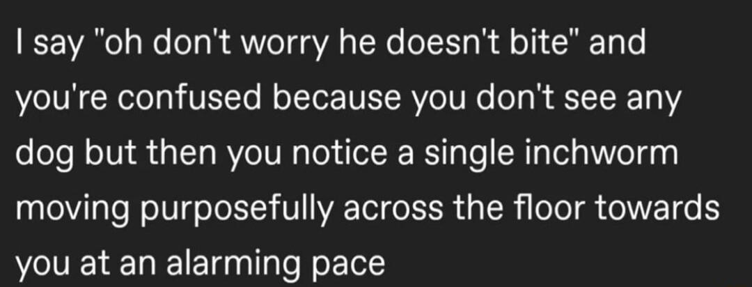I say oh dont worry he doesnt bite and youre confused because you dont see any dog but then you notice a single inchworm moving purposefully across the floor towards you at an alarming pace