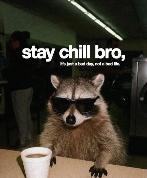 stay chill bro, it's just a bad day, not a bad life.
