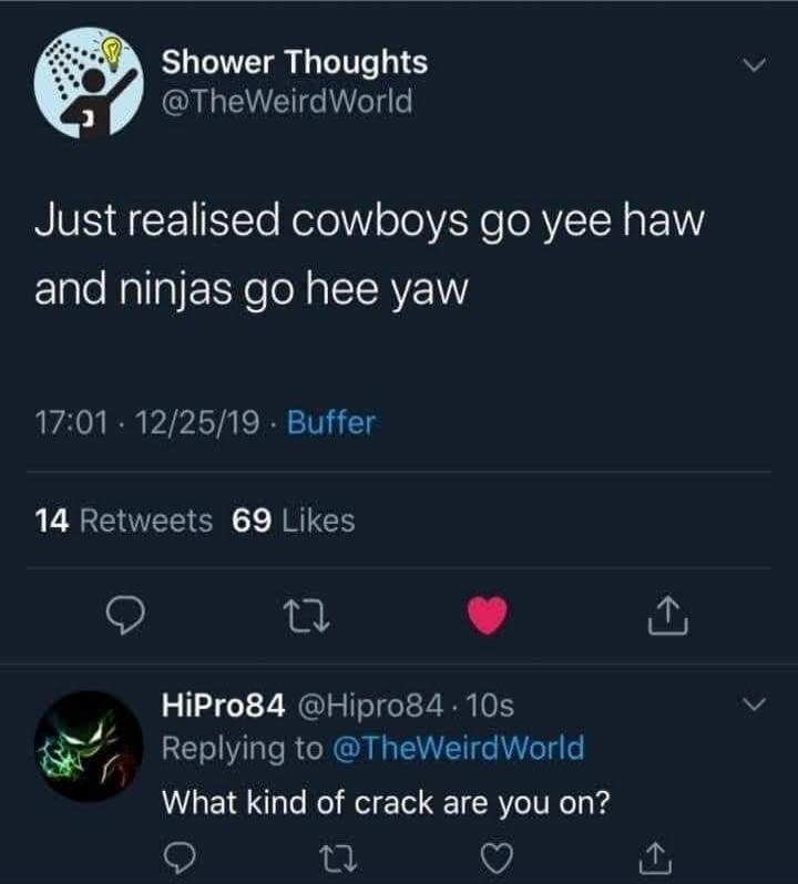 Shower Thoughts: Just realised cowboys go yee haw and ninjas go hee yaw. HiPro84: What kind of crack are you on?