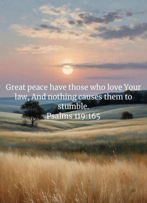 Great peace have those who love Your law, And nothing causes them to stumble. Psalms 119:165