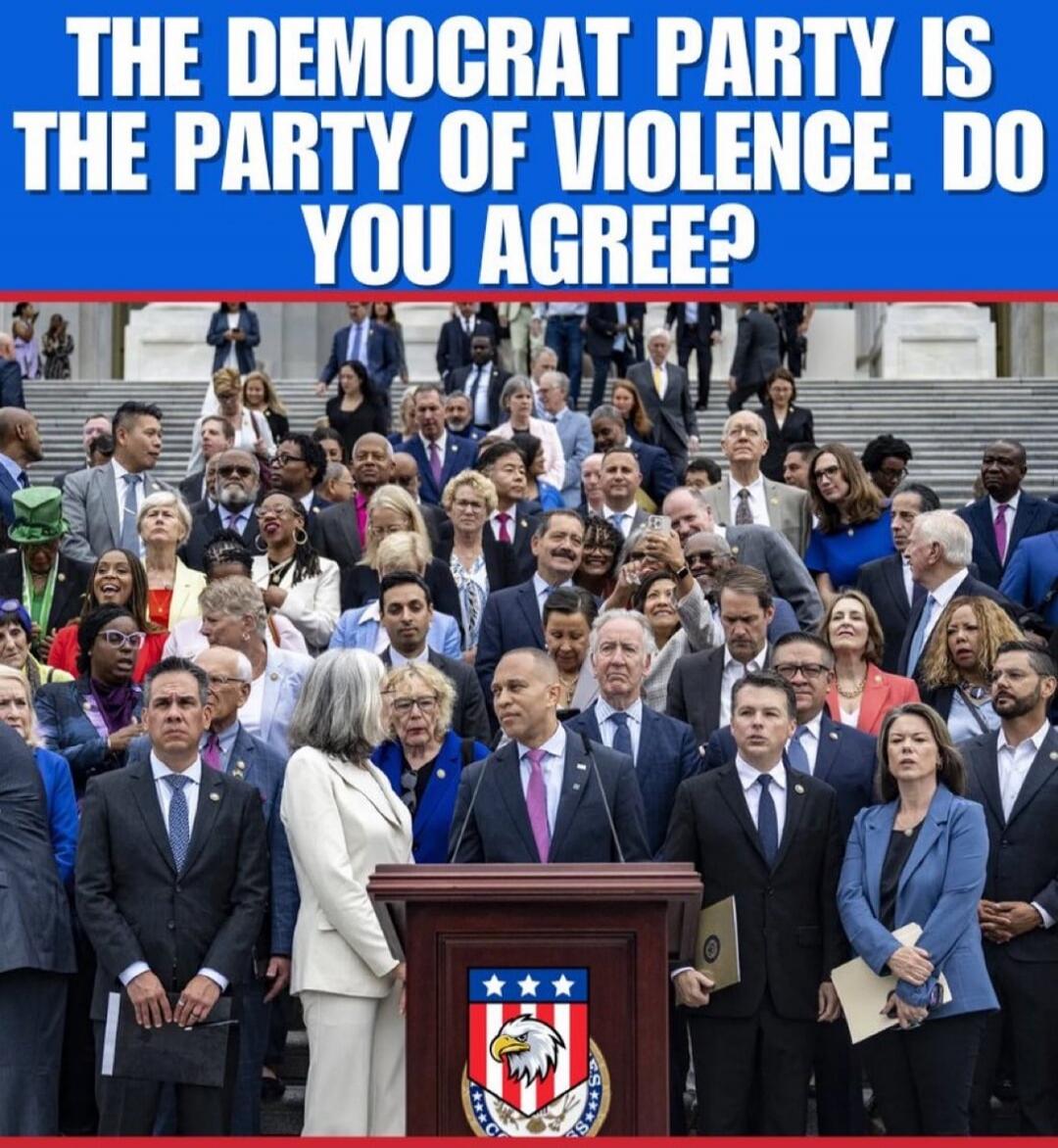 THE DEMOCRAT PARTY IS THE PARTY OF VIOLENCE. DO YOU AGREE?
