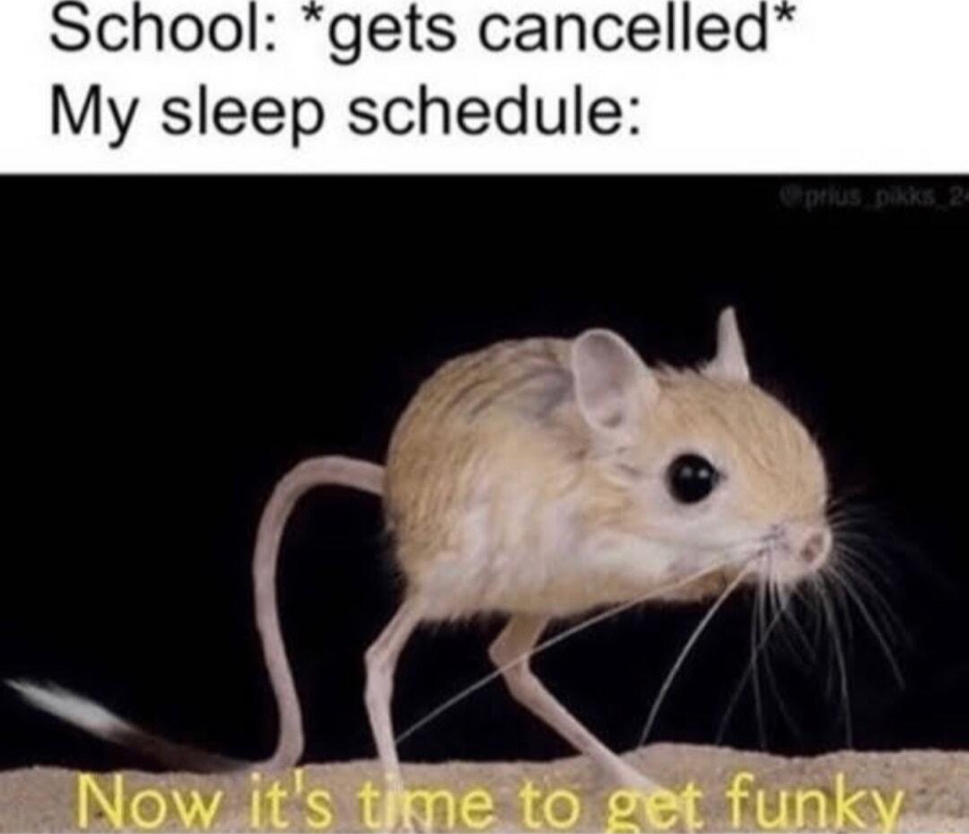 chool gets cancelled My sleep schedule