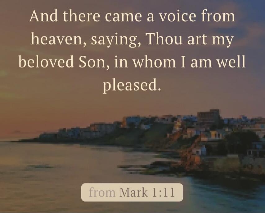 And there came a voice from heaven, saying, Thou art my beloved Son, in whom I am well pleased. from Mark 1:11