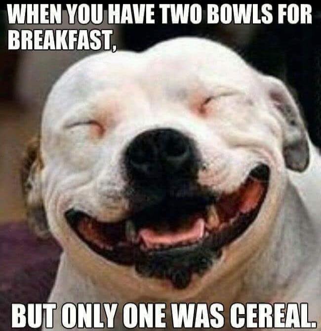WHEN YOU HAVE TWO BOWLS FOR BREAKFAST, BUT ONLY ONE WAS CEREAL.