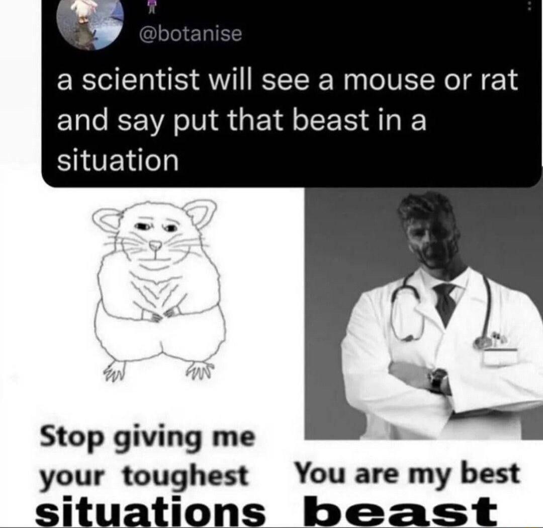 a scientist will see a mouse or rat ElQCEVA IS GETEER AT EROEN Stop giving me your toughest You are my best situations beast
