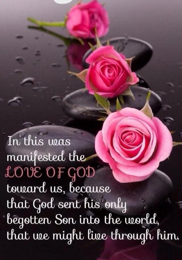 In this was manifested the LOVE OF GOD toward us, because that God sent his only begotten Son into the world, that we might live through him.