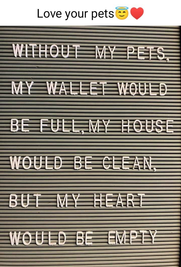 Love your pets WITHOUEWEPEES MEEWEEEEEWIEEDS BEEUEEREROUSE BUT MYHEARE aif