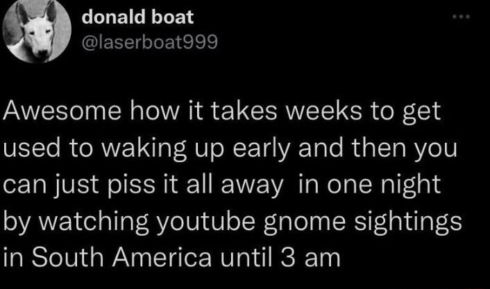 CLLEIRE LEN laserboat999 Awesome how it takes weeks to get used to waking up early and then you can just piss it all away in one night by watching youtube gnome sightings in South America until 3 am