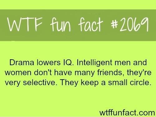 Drama lowers 1Q Intelligent men and women dont have many friends they re very selectye They keep a small circle wiffunfactcom
